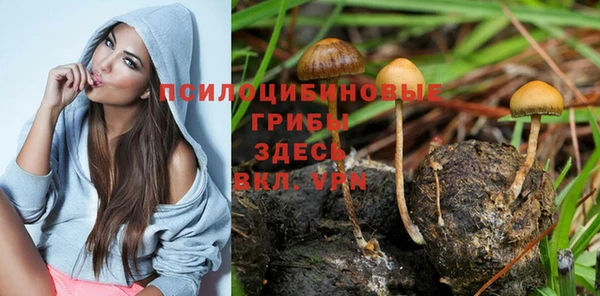 трава Лихославль
