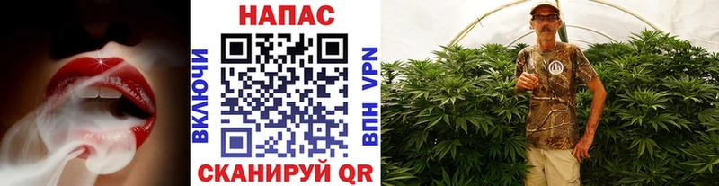 МАРИХУАНА конопля  Неман 